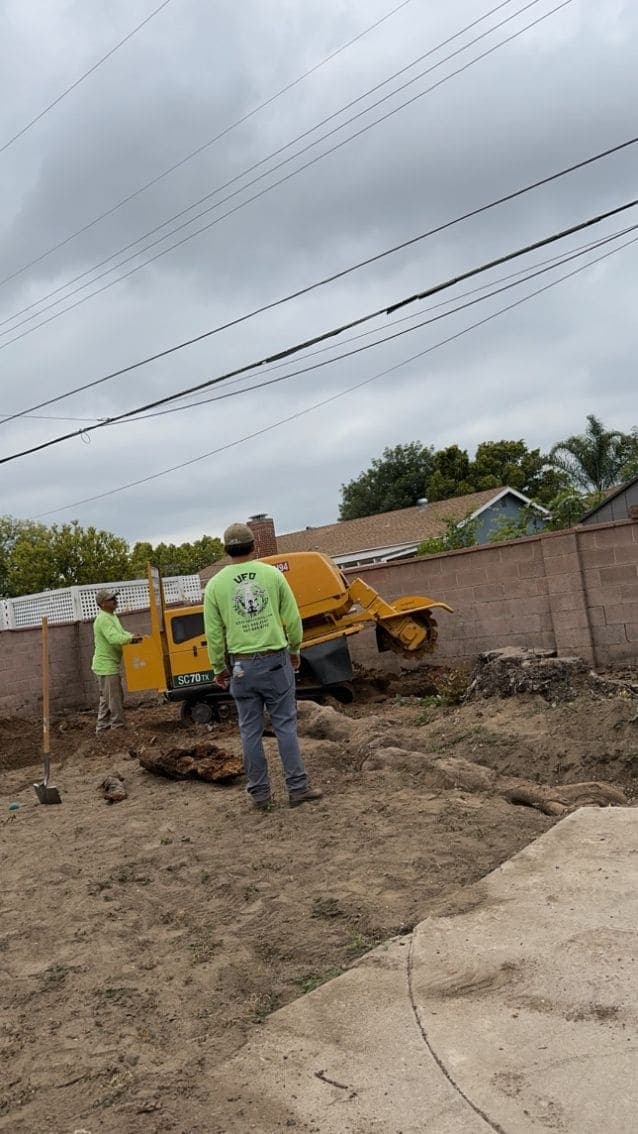 Triturado de tocón junto a una barda de block en el patio trasero — Trituradora de orugas comiéndose un tocón por debajo del nivel del suelo — la cuadrilla con camisas de UFO.